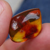 Red Green Mexican Amber Stone Fossil Polished Great Clarity 2.6g