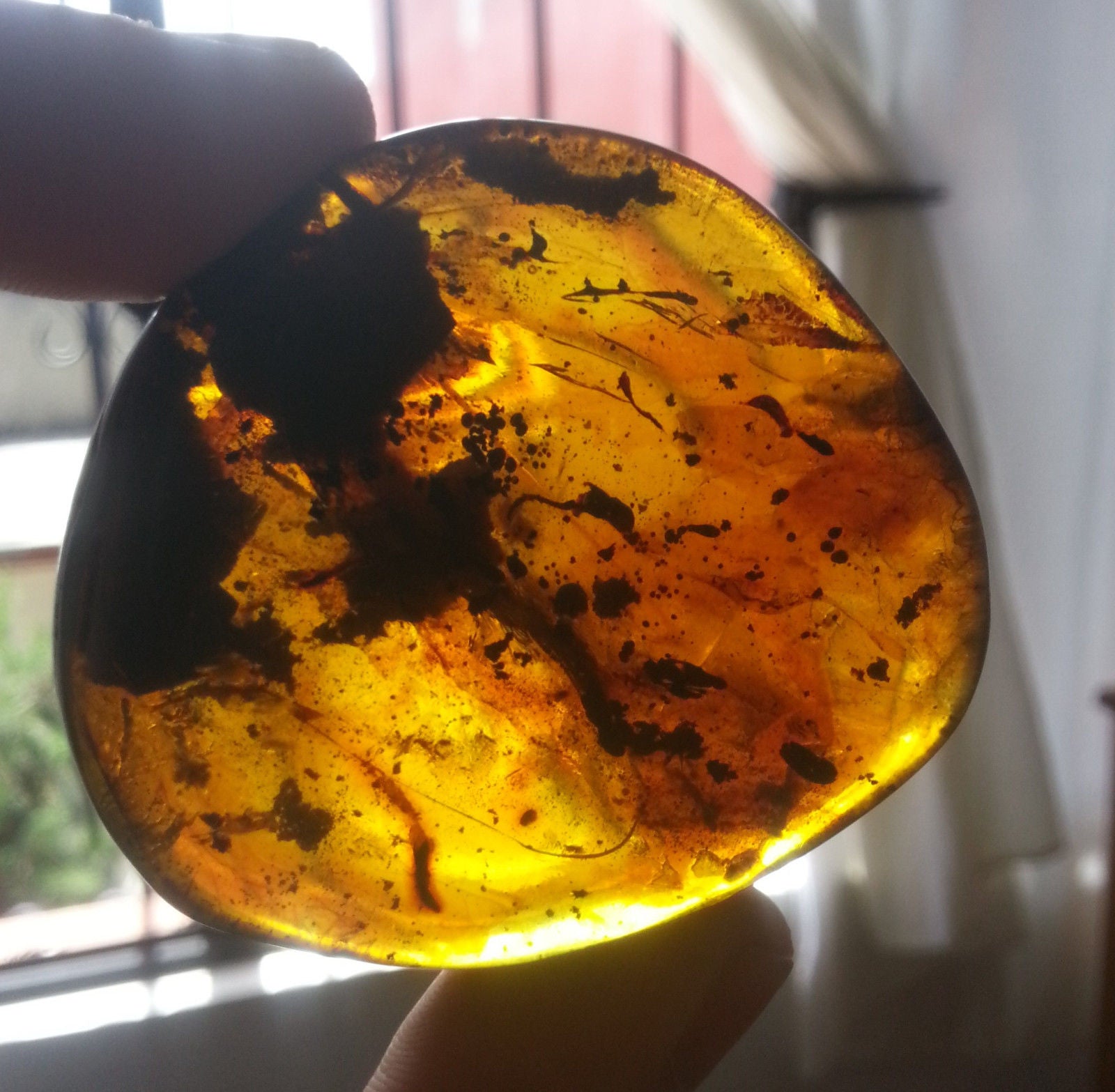 Rare Mexican Amber Mammal Hair inside Full Polished 33.8g