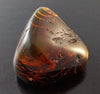 Red Green Mexican Amber Full Polished 20.5g