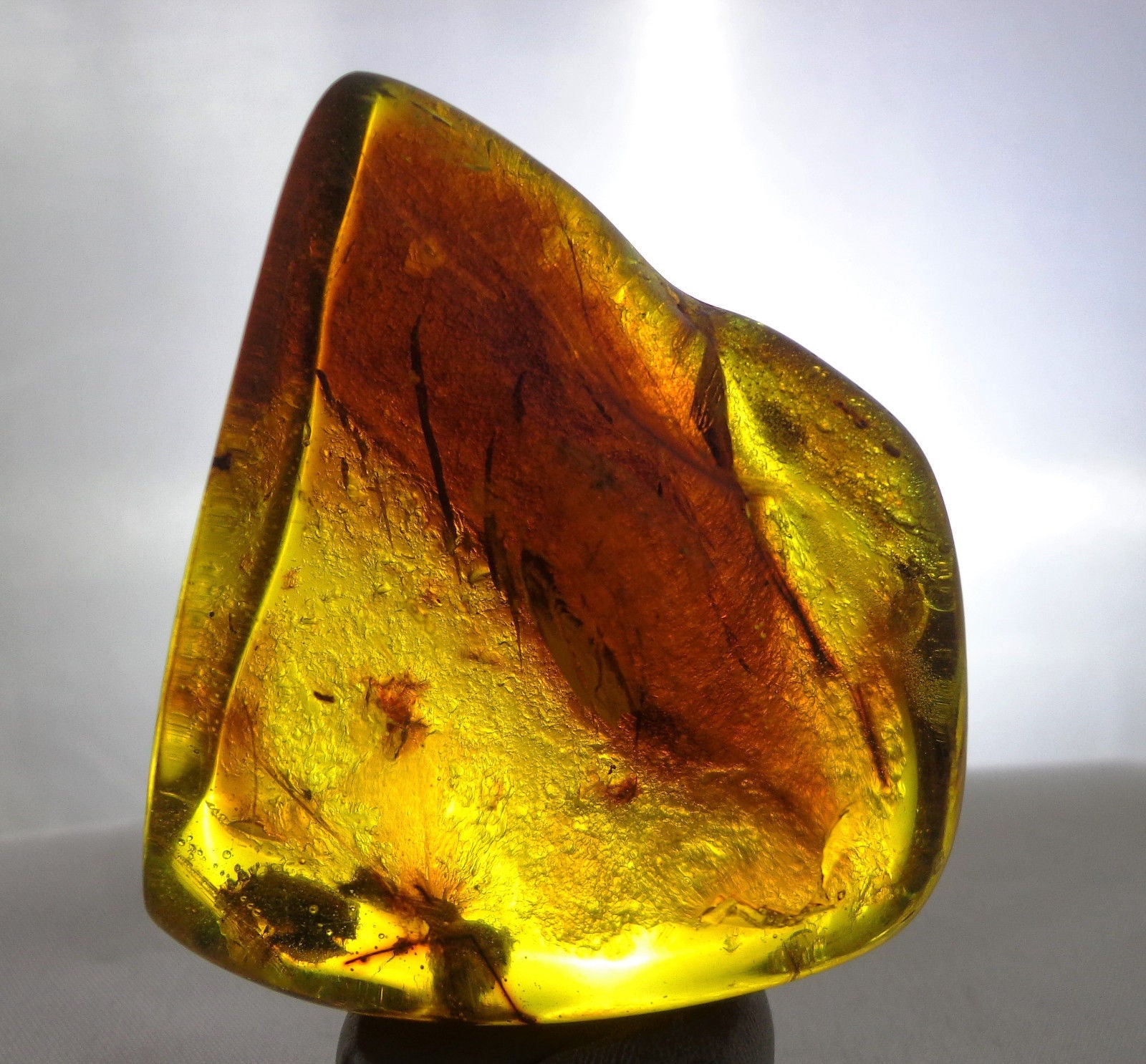 Blue Green Mexican Amber Stone with Mosquito Insect Cockroach parts inside 35.5g