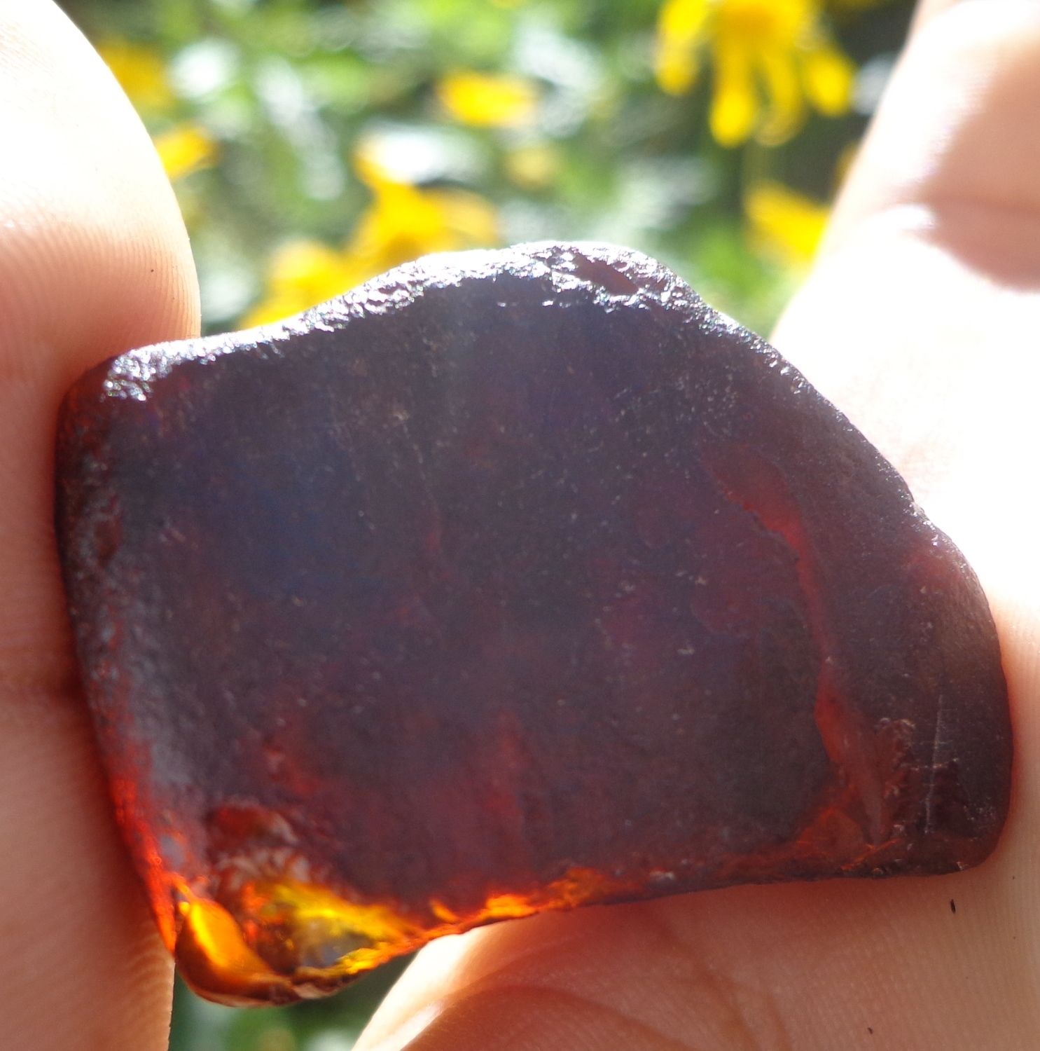 Red Green Mexican Amber Stone insect Inclusion window Polished 7.8g