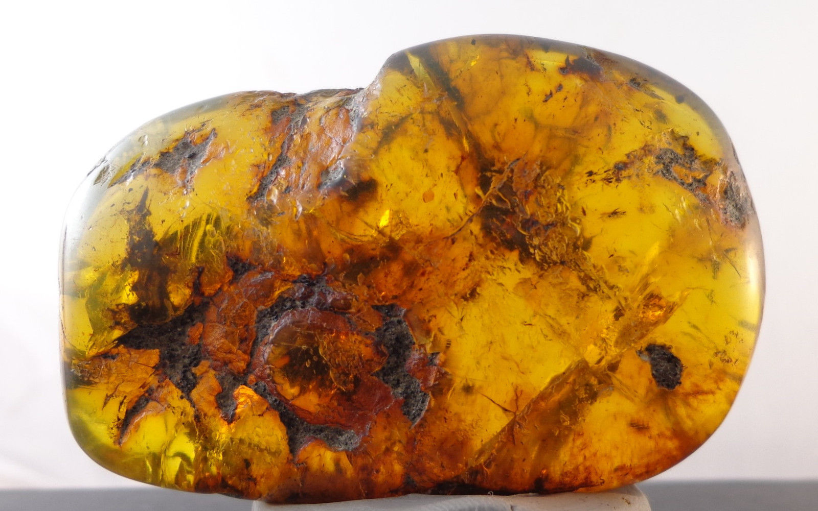 Mexican Green Amber Stone Fossil Full Polished From Chiapas 30.2g