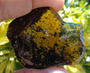 Mexican Inclusion Amber Green Flourescence Top Polished 20g