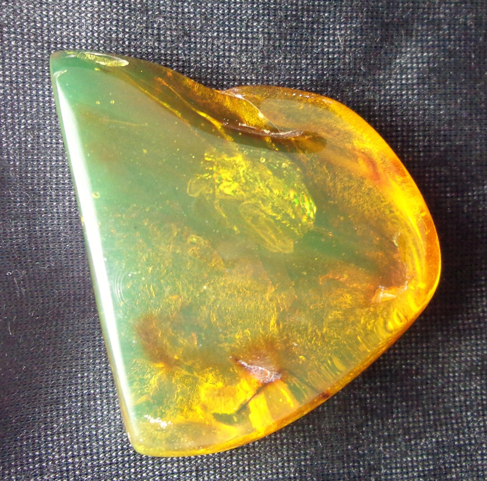 Blue Green Mexican Amber Stone with Mosquito Insect Cockroach parts inside 35.5g