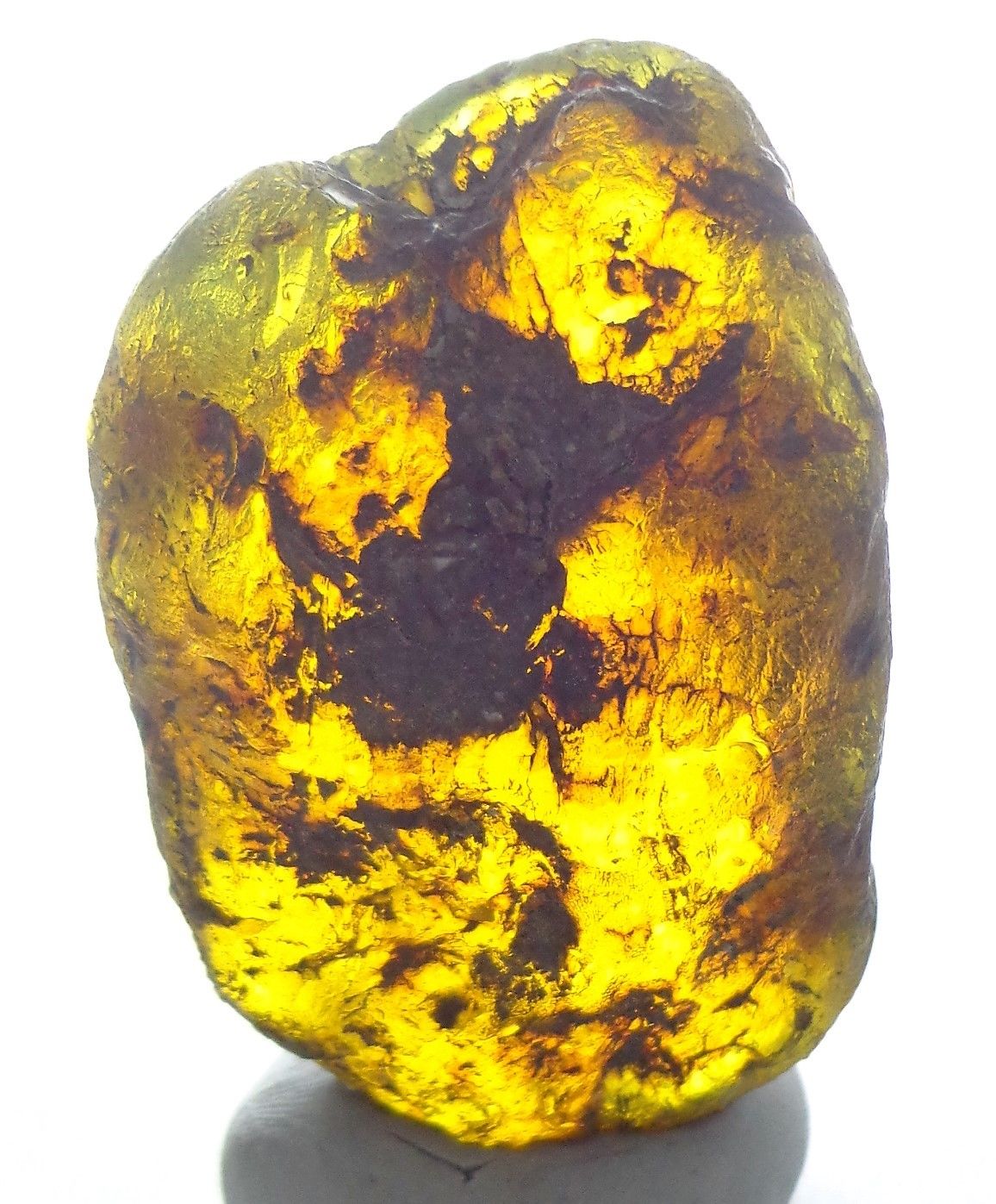 Violet Blue Mexican Amber Natural Stone Half Polished Rare Color 53g