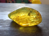 Mexican Green Amber Stone Full Polished with Some Moss Inclusion 15.7 g
