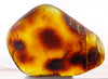 Red Skin Mexican Amber Stone Polished 12g