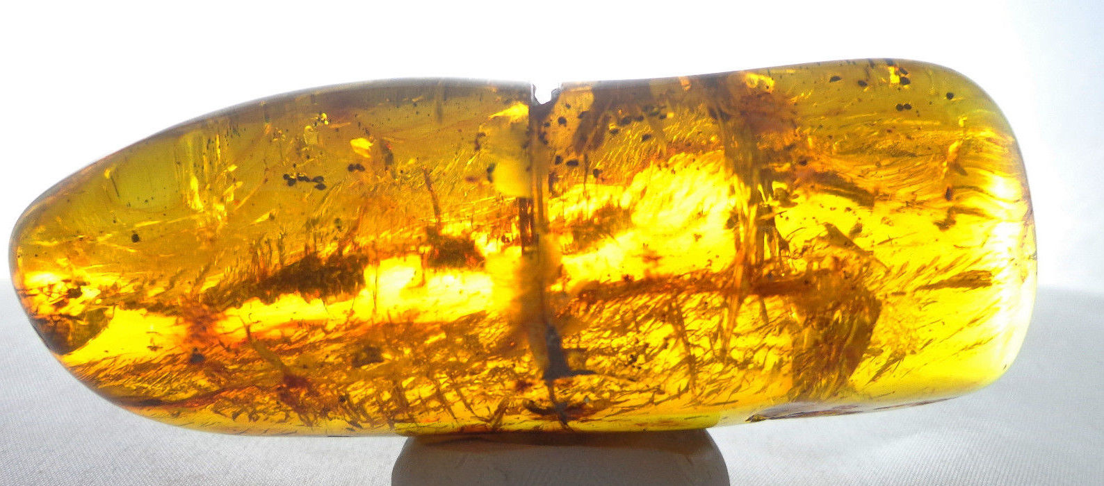 Mexican Amber Fossil Stone w Insects Spider Bee Gnat Mosquito