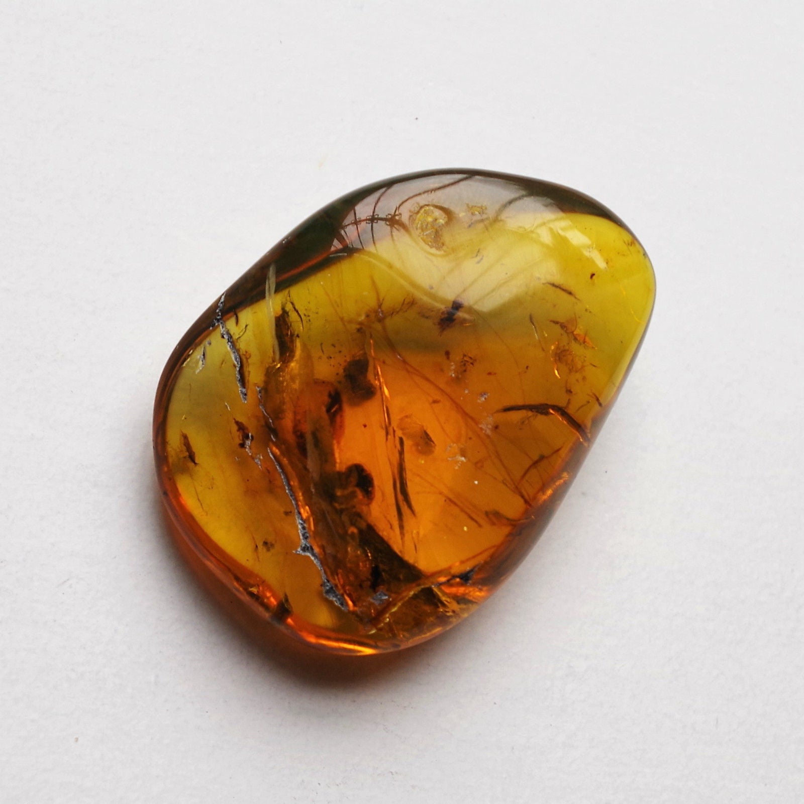 Polished amber hot sale