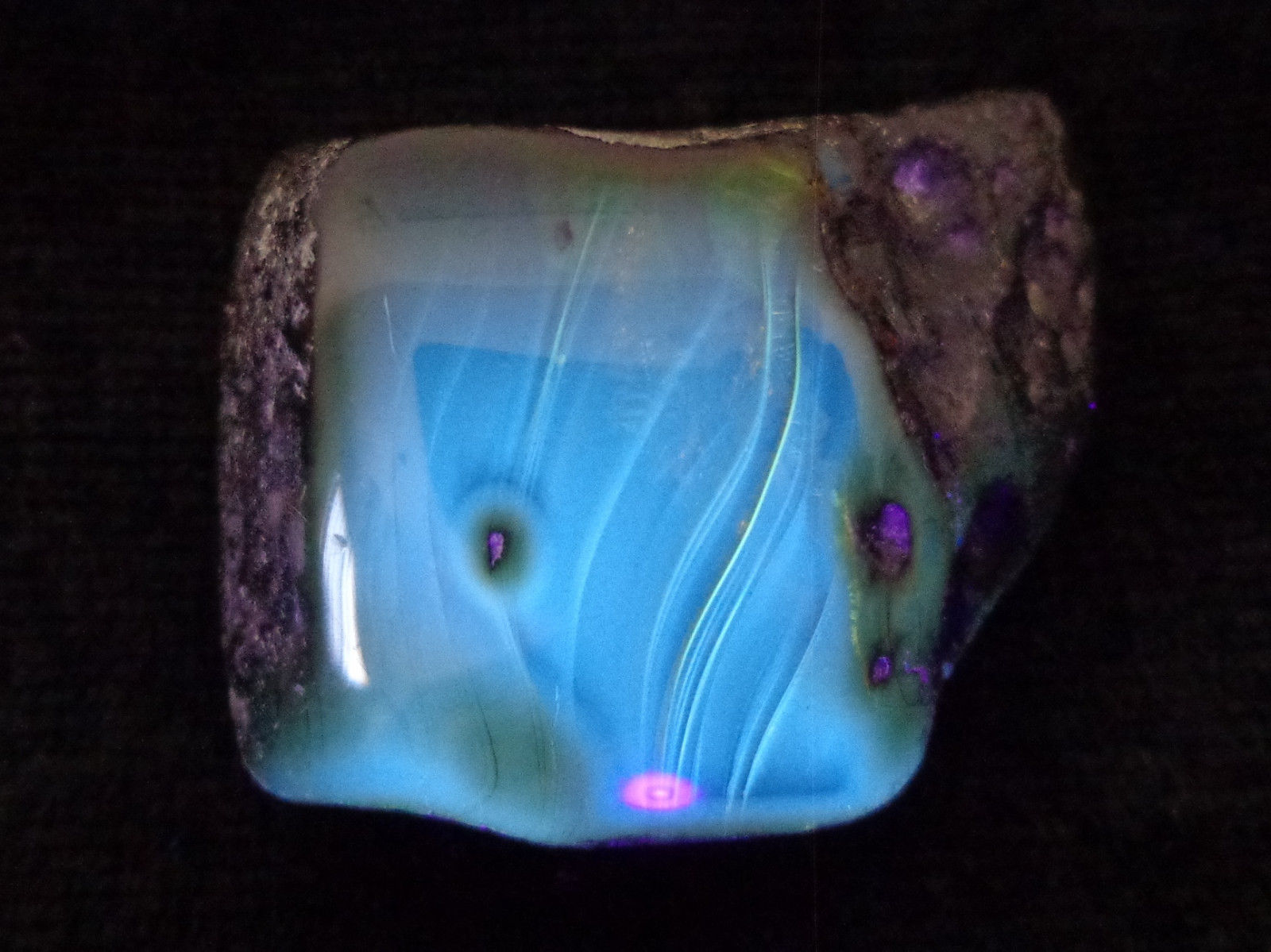 Red Green Mexican Amber Stone insect Inclusion window Polished 7.8g