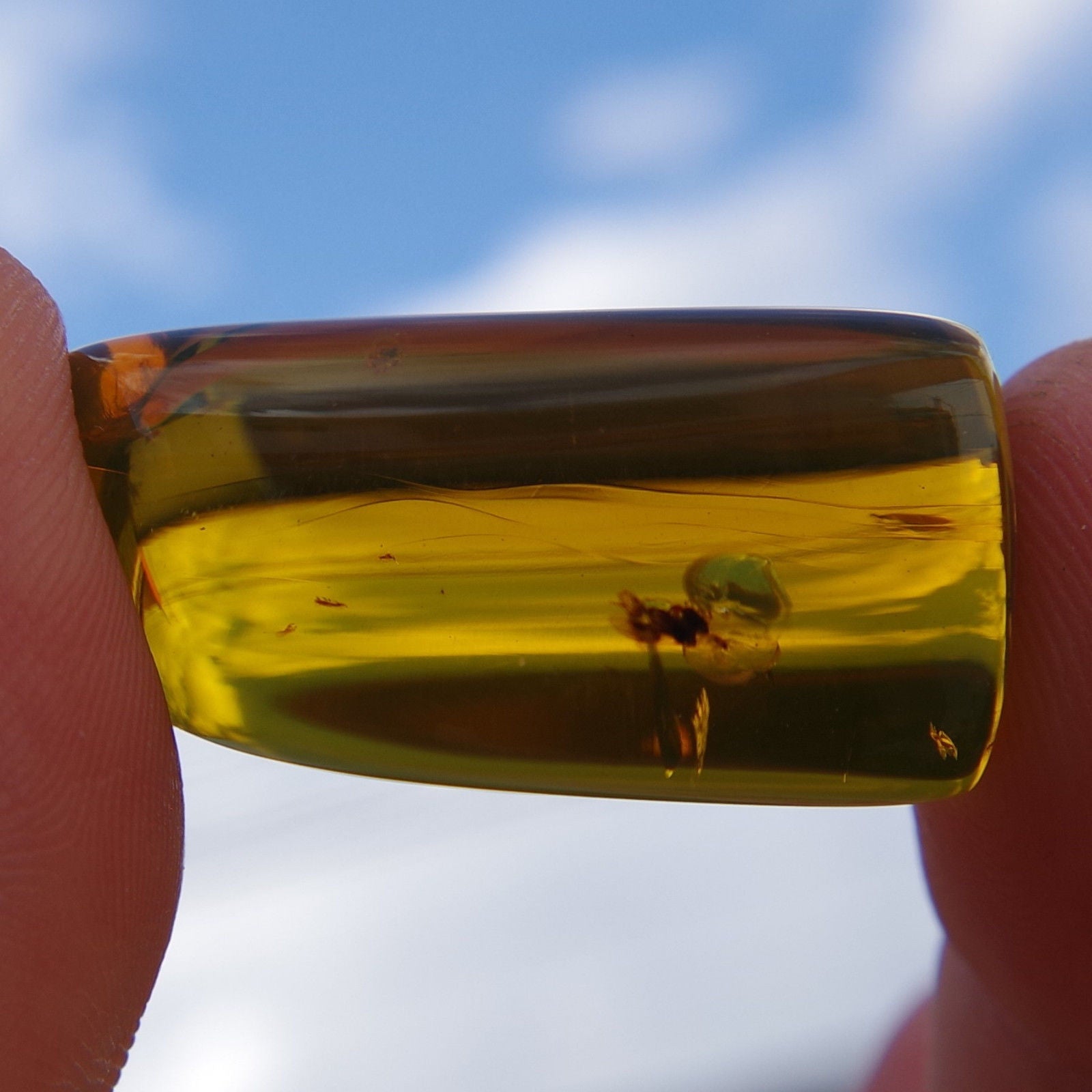 Green Mexican Amber Stone Good Clarity w Insect Inside Full Polished 7.3g