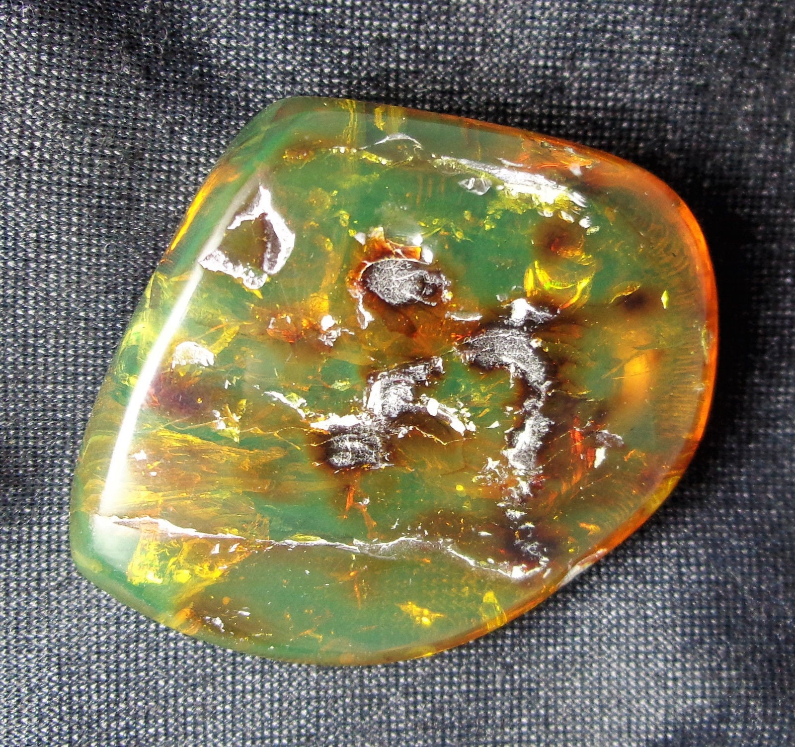 Mexican Amber 2 Termite Stingless Bee Insect Inclusion Speciemen