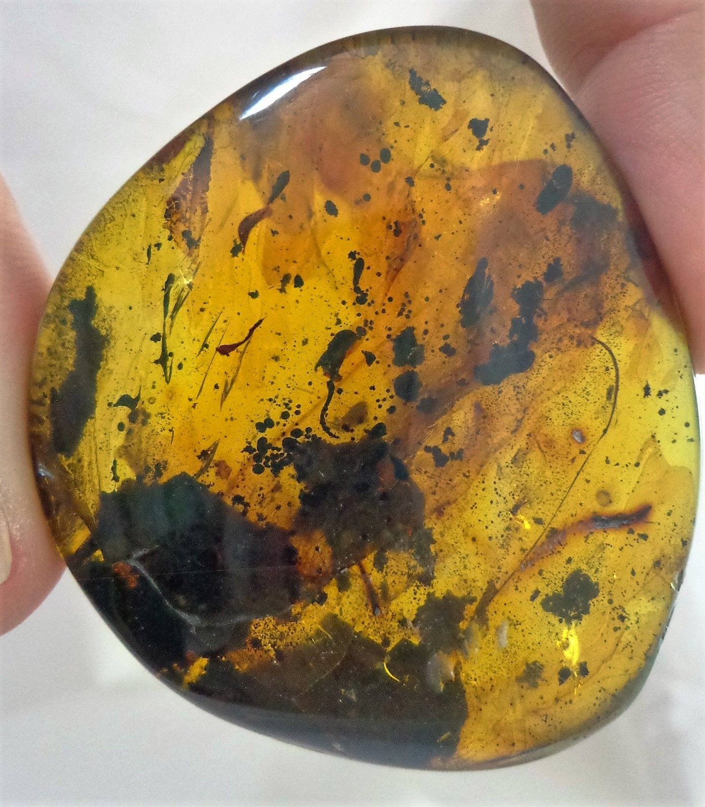 Rare Mexican Amber Mammal Hair inside Full Polished 33.8g