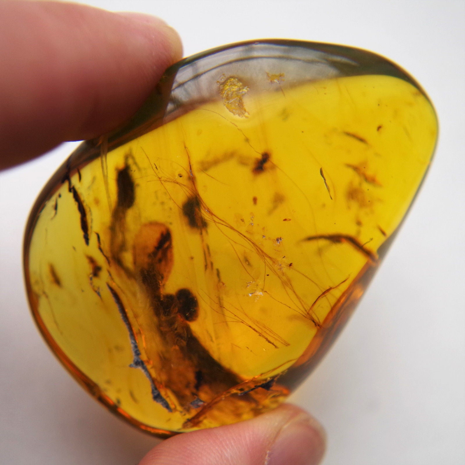 Blue Green Mexican Amber Polished Clear stone with Mammal Hair Inside 23.7 g