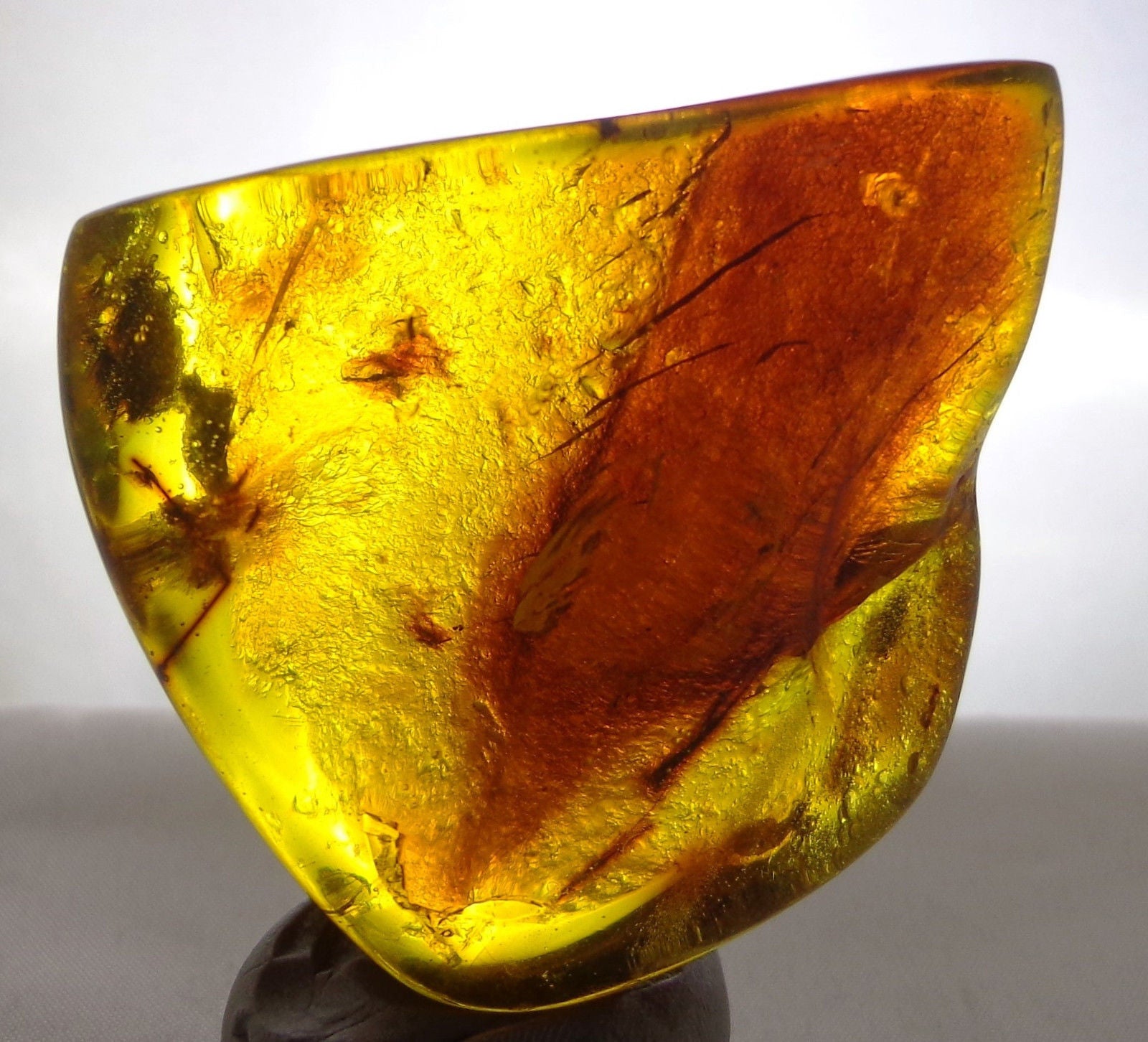 Blue Green Mexican Amber Stone with Mosquito Insect Cockroach parts inside 35.5g