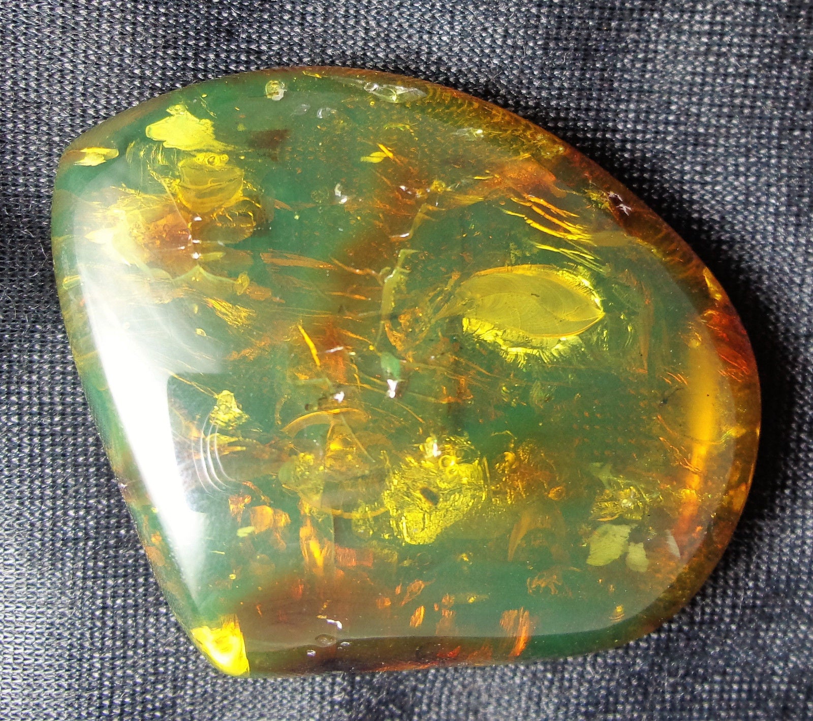 Mexican Amber 2 Termite Stingless Bee Insect Inclusion Speciemen