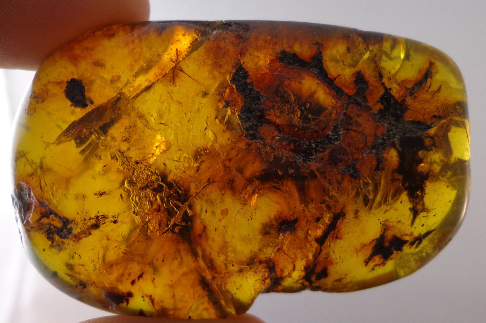 Mexican Green Amber Stone Fossil Full Polished From Chiapas 30.2g