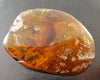 Polished Green Mexican Amber Speciemen 13g