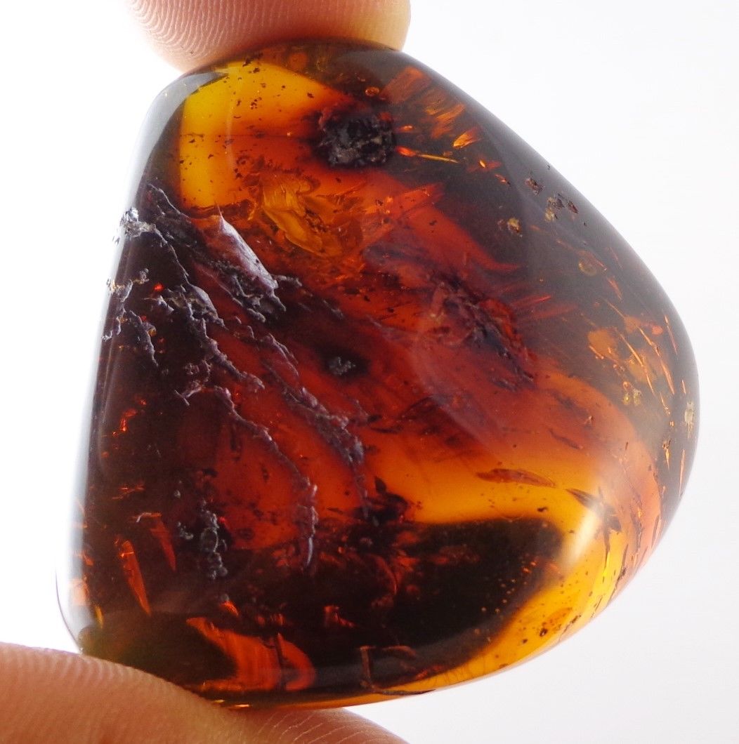 Red Green Mexican Amber Full Polished 20.5g