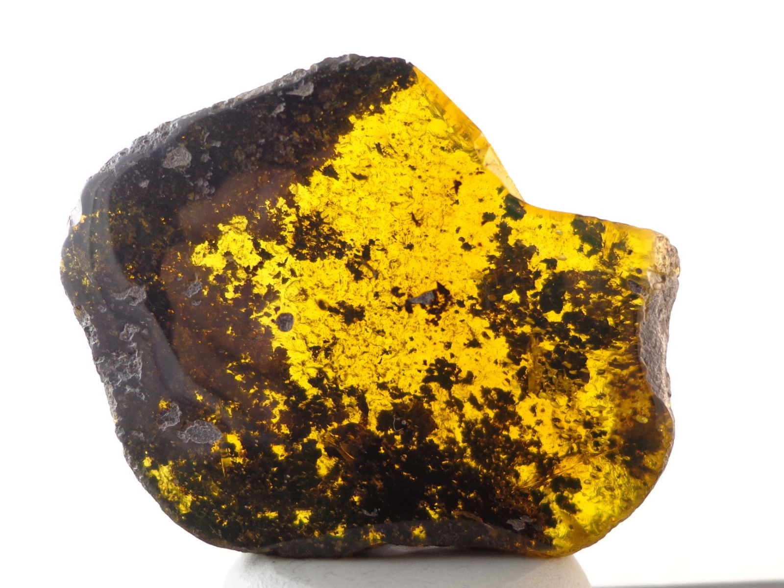 Mexican Inclusion Amber Green Flourescence Top Polished 20g