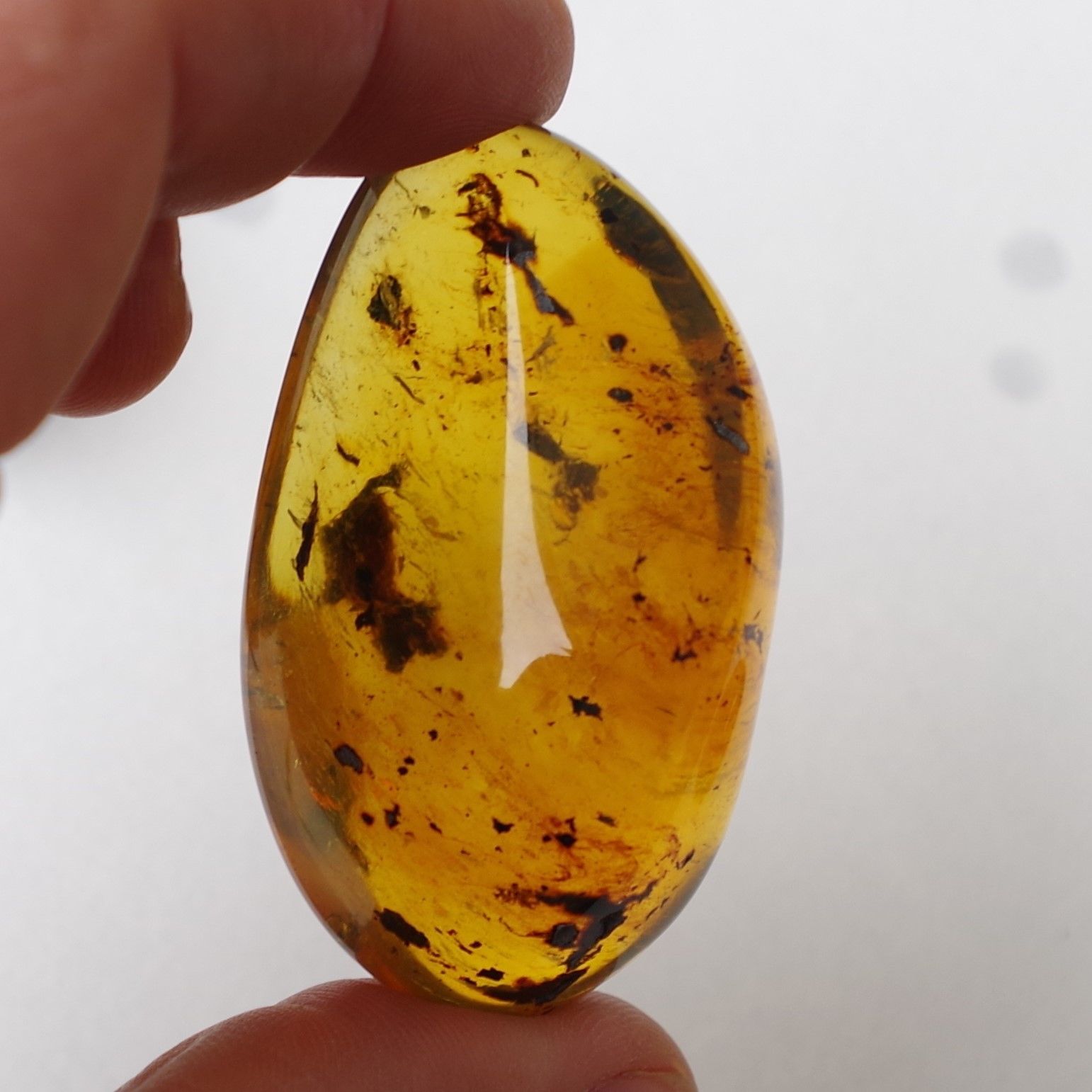Blue Green Mexican Amber with Moss Inclusion Full Polished 25.5g