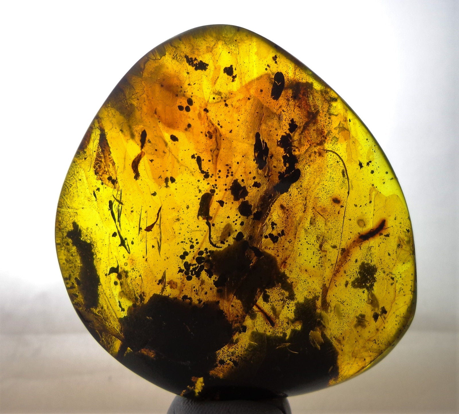 Rare Mexican Amber Mammal Hair inside Full Polished 33.8g