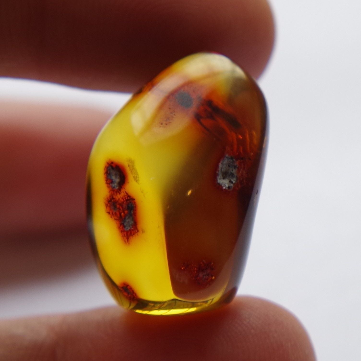 Red Green Mexican Amber Stone Full Polished Great Clarity 3.6g from Chiapas