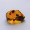 Red Green Mexican Amber Stone Full Polished Great Clarity 3.6g from Chiapas
