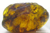 Violet Blue Mexican Amber Natural Stone Half Polished Rare Color 53g
