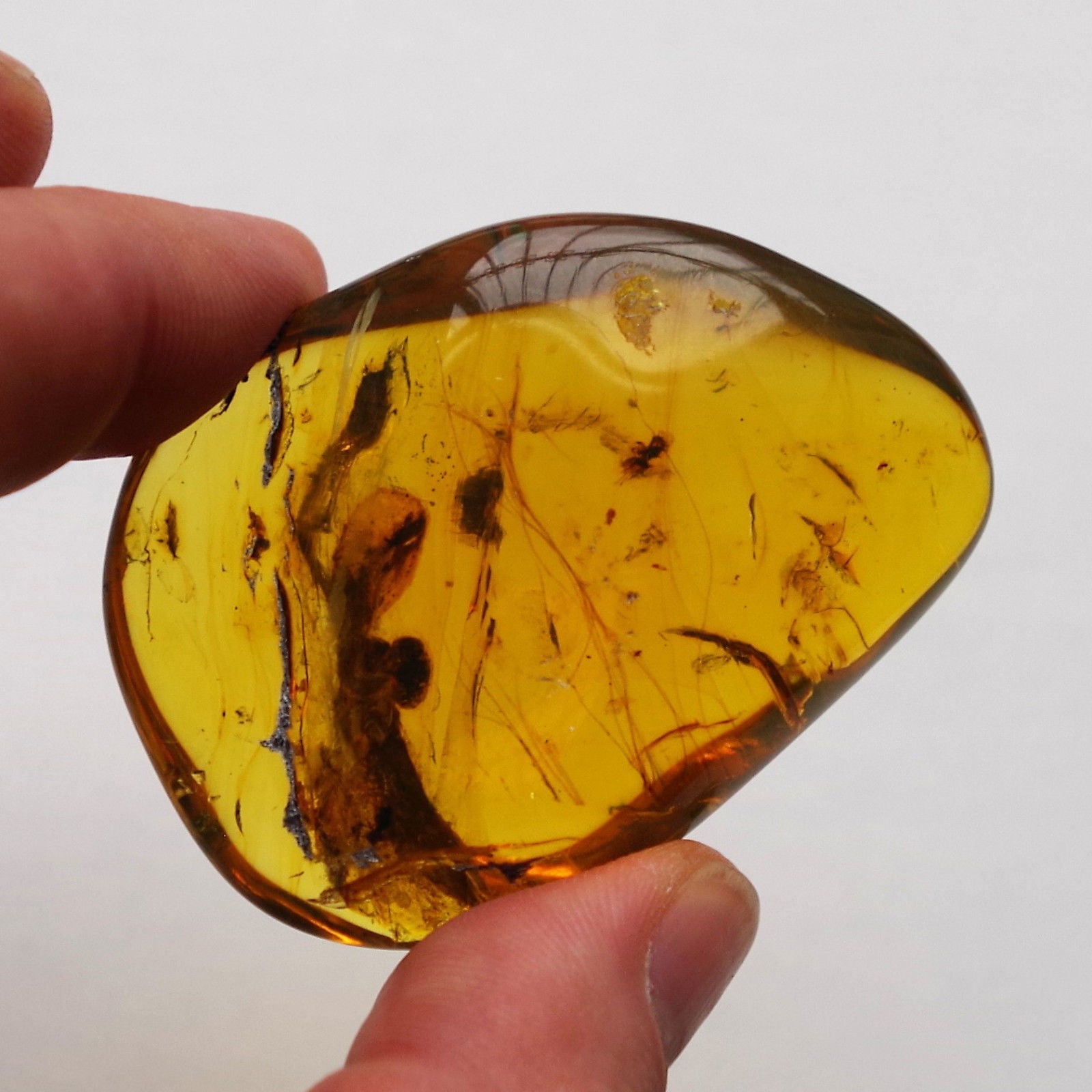 Blue Green Mexican Amber Polished Clear stone with Mammal Hair Inside 23.7 g