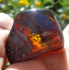 Red Green Mexican Amber Stone insect Inclusion window Polished 7.8g