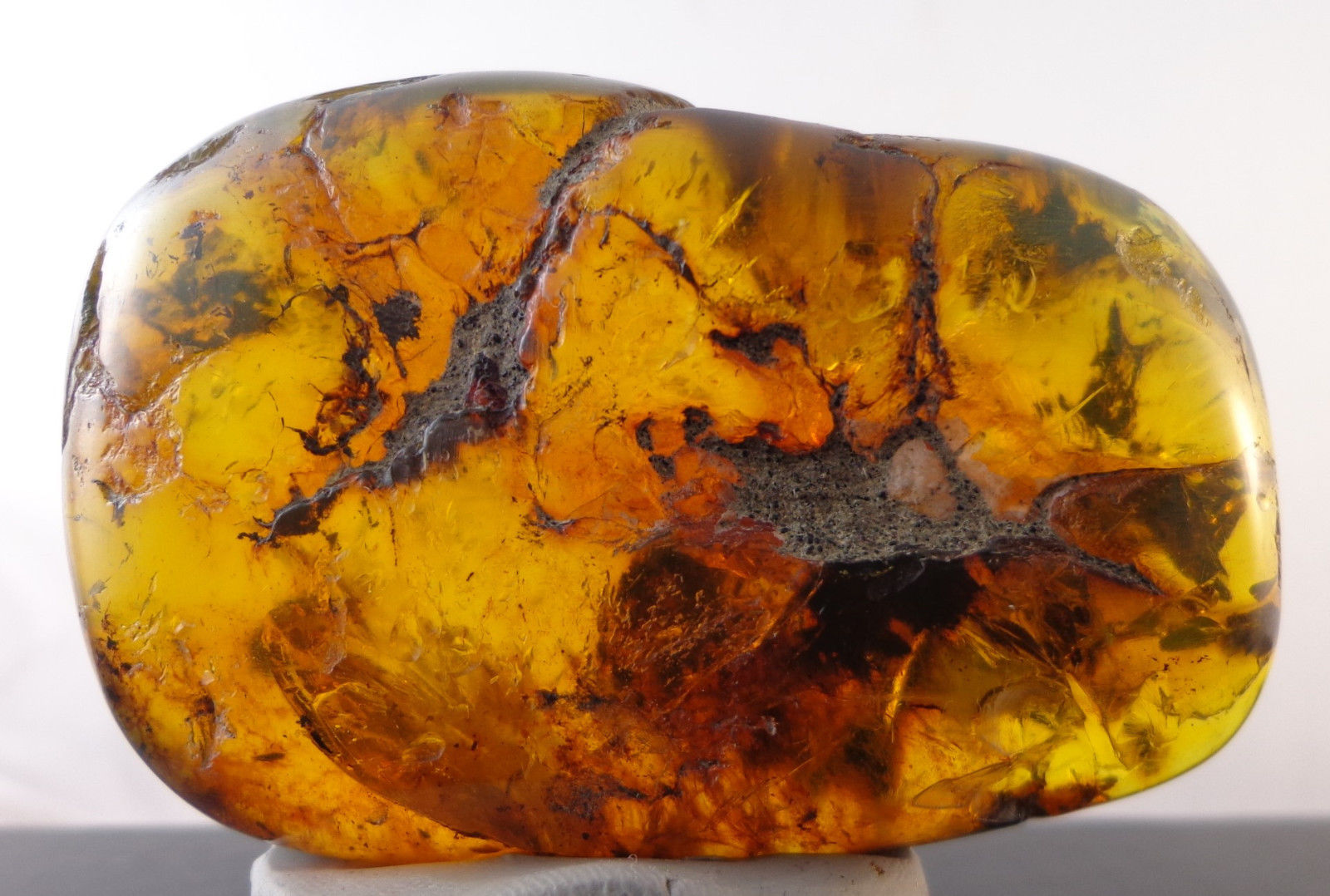 Mexican Green Amber Stone Fossil Full Polished From Chiapas 30.2g