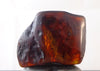 Red Green Mexican Amber Stone insect Inclusion window Polished 7.8g