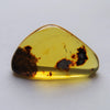 Green Mexican Amber Stone Full Polished Clarity w Some Moss Inclusion 5.8g