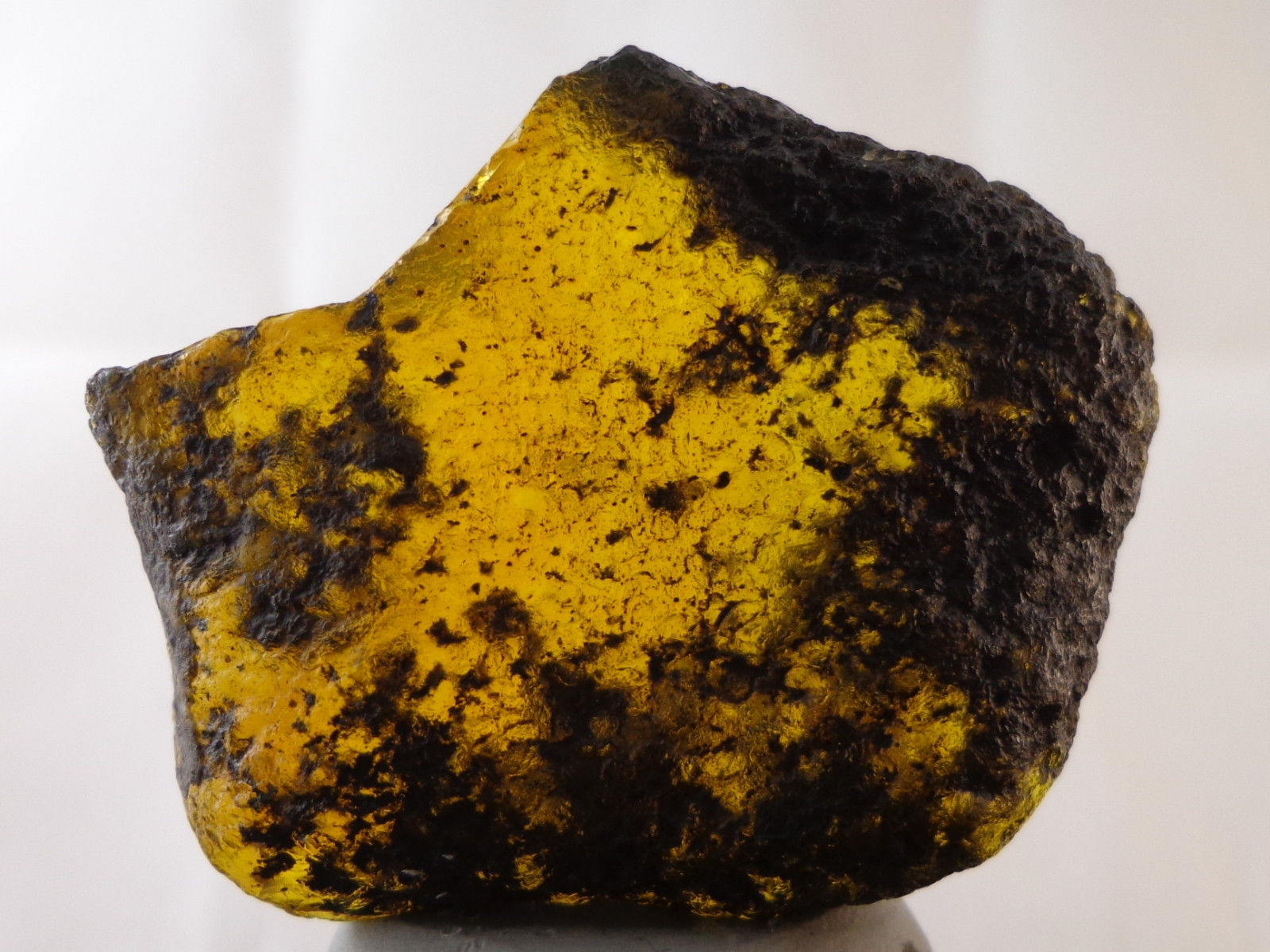 Mexican Inclusion Amber Green Flourescence Top Polished 20g