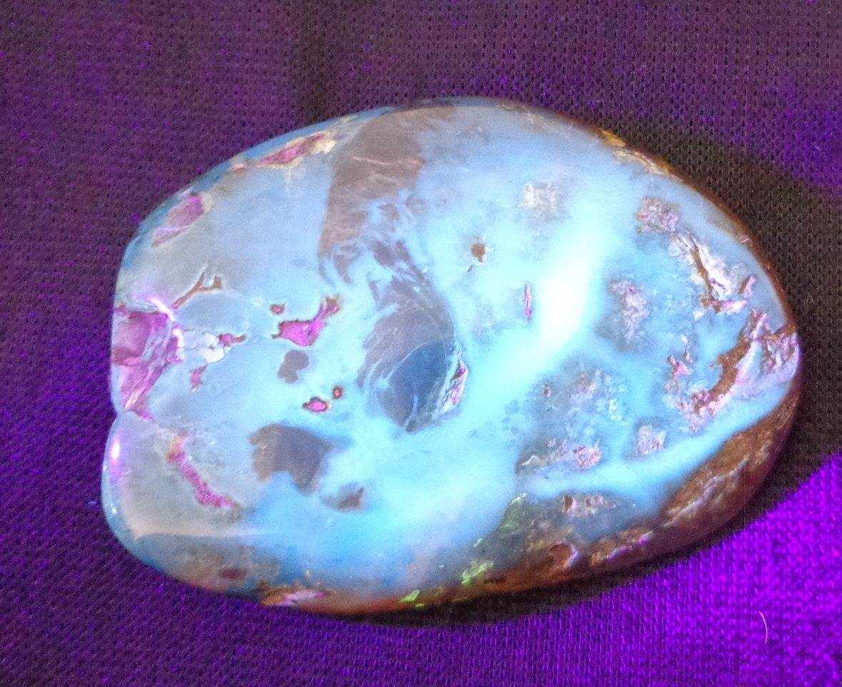 Polished Green Mexican Amber Speciemen 13g