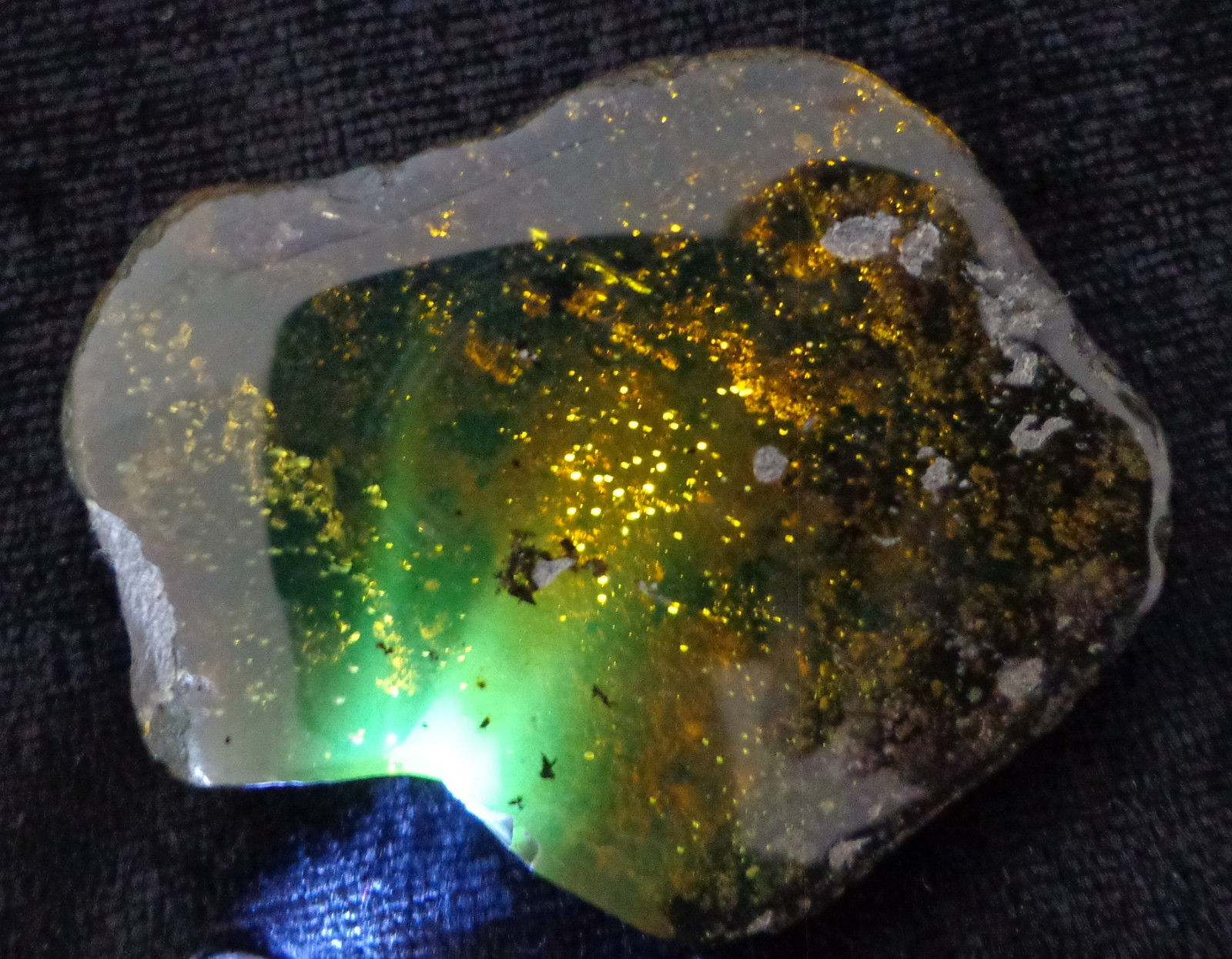 Mexican Inclusion Amber Green Flourescence Top Polished 20g