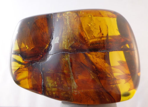 Blue Green Mexican Amber Full Polished from Chiapas 34.6g